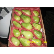 fresh guava